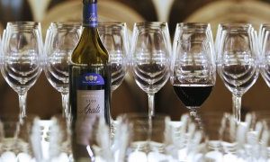 vinos-la-nacion-a-uno