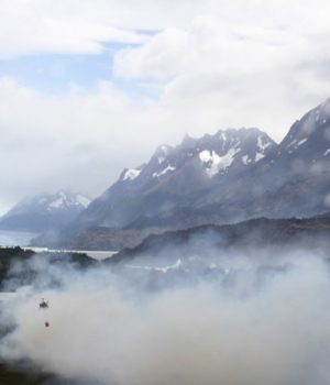Torres-del-Paine A Uno Mostrador