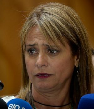 van-rysselberghe-dinamo