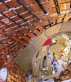 Reactor Nuclear DW dpa