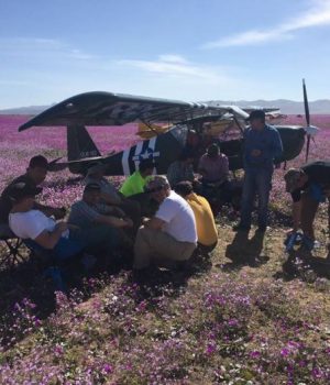 desierto-florido-nacion