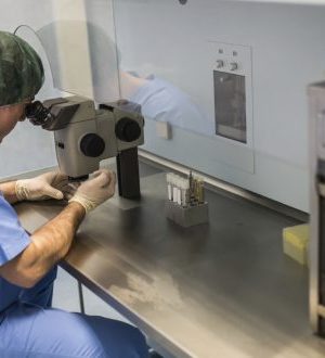 Ciencia-radio u de chile