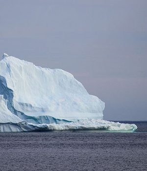 Iceberg-Emol AFP