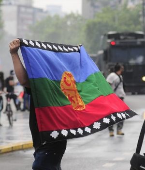 Mapuche-manifestacion-adn uno