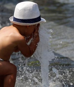 Calor-DW, reuters