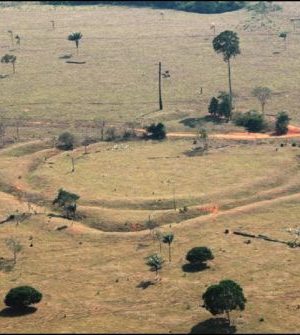 Amazonas geoglifos-bbc U de Exeter