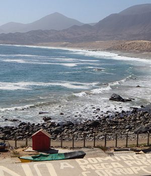 Dominga La Higuera-emol