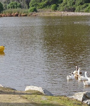 Laguna de Zapallar-emol Fundacion Kennedy