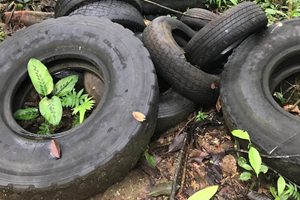 Neumatico ecologico-emol