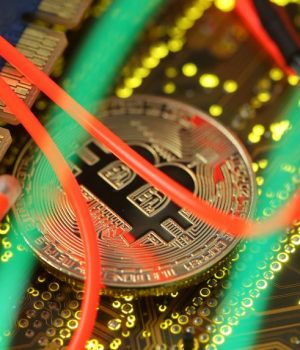 Bitcoins blockchain-pulso