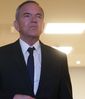 Ruiz Tagle Gabriel-cooperativa