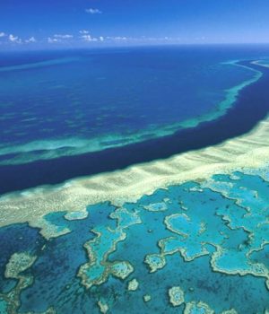 Barrera de Coral-tercera