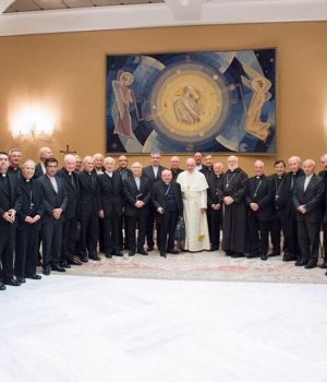 Papa Obispos chilenos-cooperativa