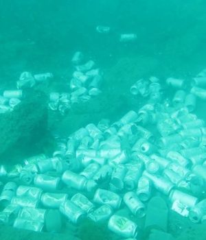 Llanquihue-latas-de-cereveza-8dinamo