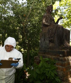 Estatuas robadas-emol