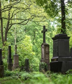 Cementerio-Getty-adn