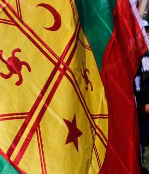 Mapuche-soychile uno