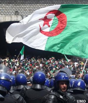 Argelia-dw afp getty