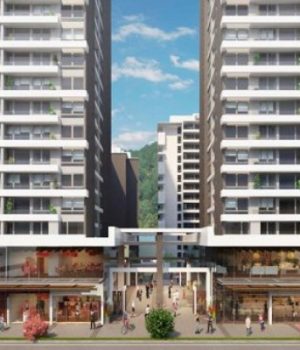 Vivienda concepcion-df