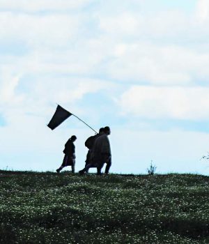 La-Araucanía-900x600