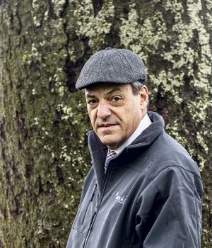 NicolasIbañez tercera