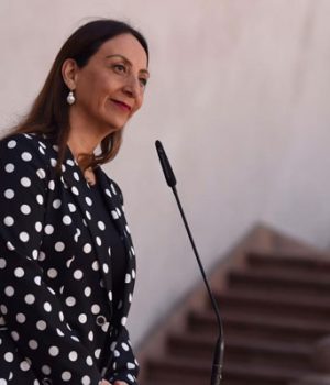 Perez Cecilia-emol segegob