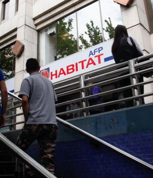 AFP Habitat-df
