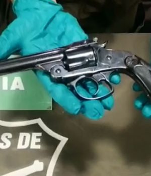 Arma-La Dehesa-carabineros emol