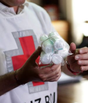 Cruz Roja-bio bio uno