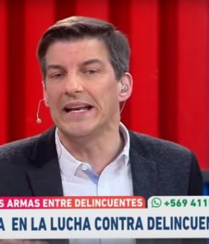 daniel-stingo-nacion