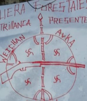 Arauco panfleto.emol