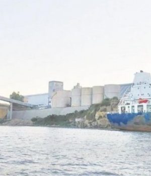 Puerto Vicentini-DF Cronista