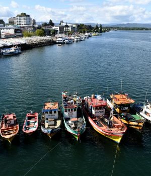 Pescadores artesanales protestan en Valdivia
