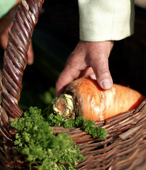 agricultura-agricultura