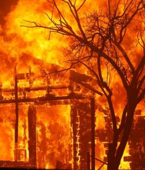 Incendio California-dw reuters