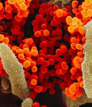 Sars-CoV-2 Mutacion-tercera