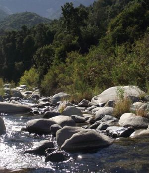 Rio Clarillo-tercera