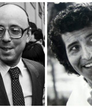 Guzman-Jara-mostrador