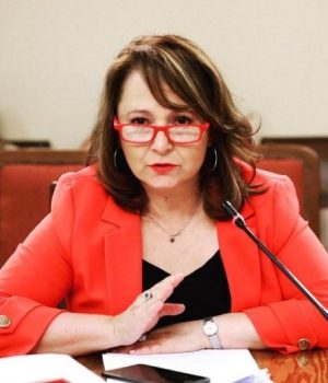 ComisiÛn de Mujeres y Equidad de GÈnero.