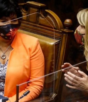 Provoste-Rincon-ex ante uno