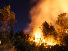 AMUCh: Solo 10% confía en la respuesta estatal ante incendios