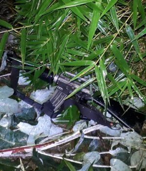 Fusil M-16 Carahue Mapuche Arauco tercera