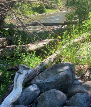Dique Lago Caburgua-tercera