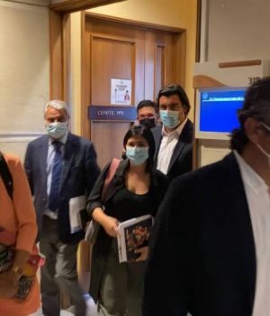 Apruebo Dignidad-ex concertacion-pauta