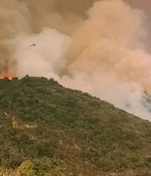 Valparaiso incendio forestal-tercera