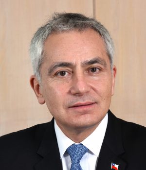 Dante Arrigoni 1 (1)