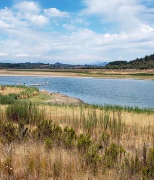 Embalse Peñuelas-emol