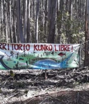 Mapuche ocupación La union-elmostrador