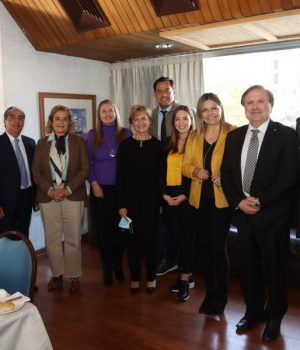 Matthei parlamentarios-tercera