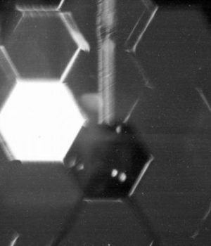 telescopio James Webbs daño dw